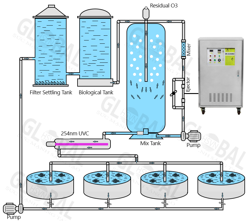 Dr.Ozone D15S Industrial Ozone Machine in water treatment of RAS recirculating aquaculture systems