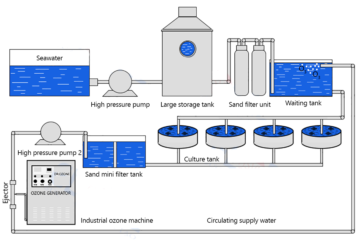 Dr.Ozone ozone generator for saltwater recirculating aquaculture systems