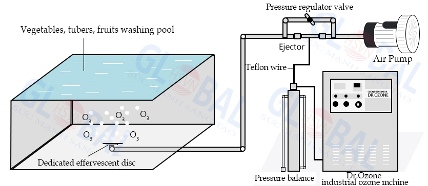 Application of Dr.Ozone industrial ozone machine integrated into the industrial food washing system