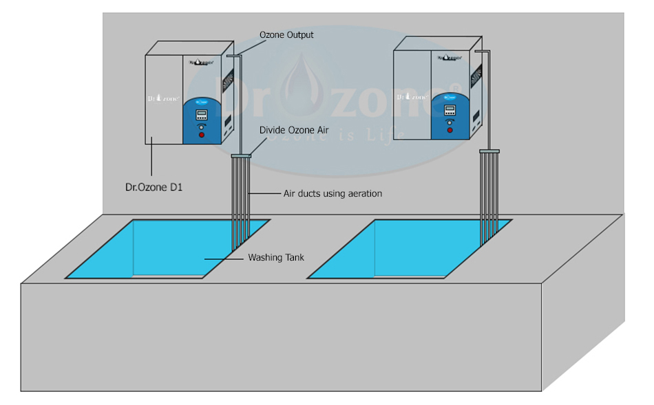 The model of washing vegetables and decontaminating food in schools by using Dr.Ozone D2