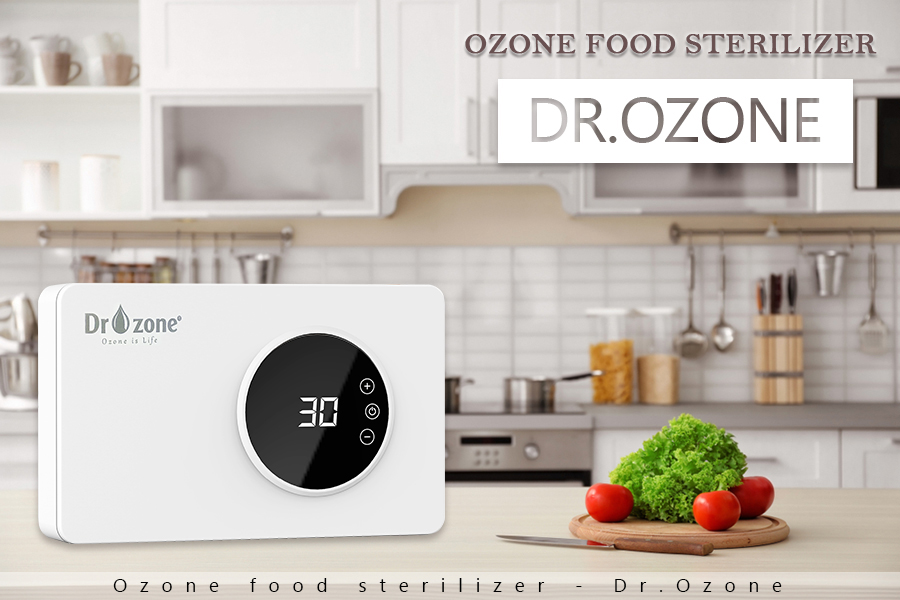 Dr.Ozone Food Sterilizer 400mg/h Small Capacity Ozone Generator