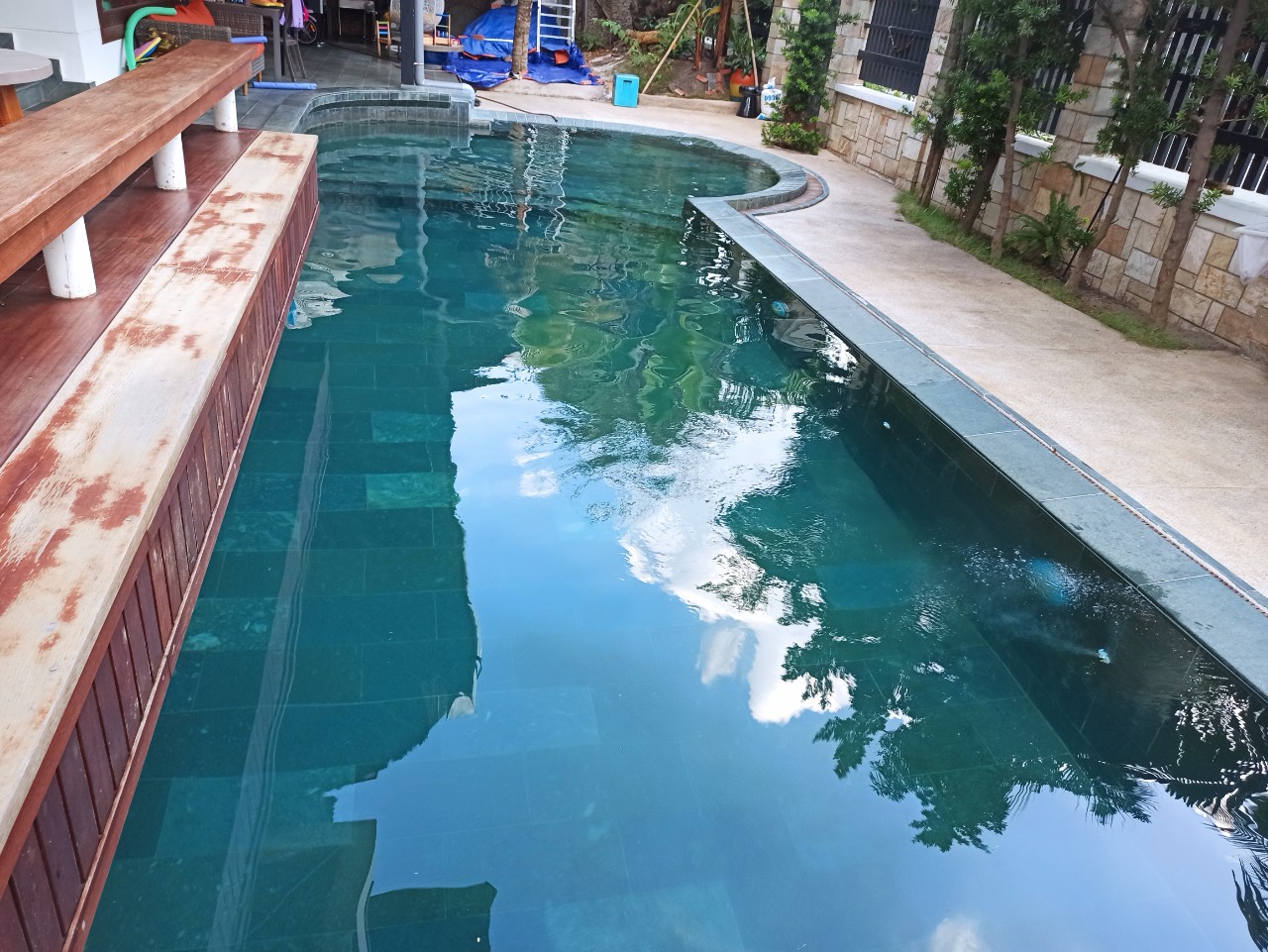 Treat house swimming pool water with ozone